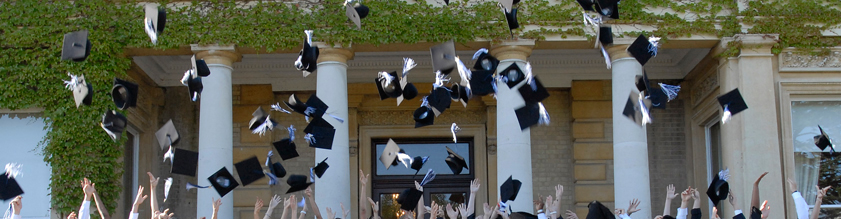 exams crop